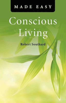 bokomslag Conscious Living Made Easy