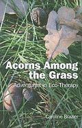 bokomslag Acorns Among the Grass  Adventures in Ecotherapy