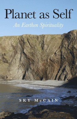 bokomslag Planet as Self  An Earthen Spirituality