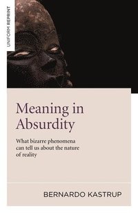 bokomslag Meaning in Absurdity - What bizarre phenomena can tell us about the nature of reality
