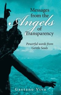 bokomslag Messages from the Angels of Transparency  Powerful words from Gentle Souls