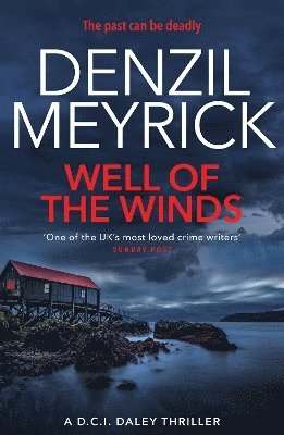 Denzil Meyrick - Well of the Winds, Häftad