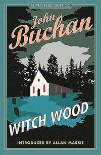 bokomslag Witch Wood