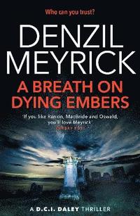bokomslag Breath on Dying Embers