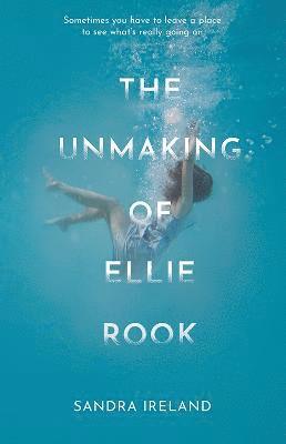 bokomslag The Unmaking of Ellie Rook
