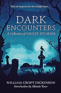 bokomslag Dark Encounters