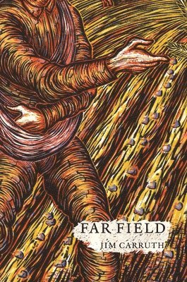 Far Field 1