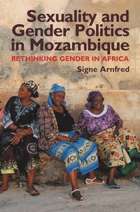 bokomslag Sexuality and Gender Politics in Mozambique