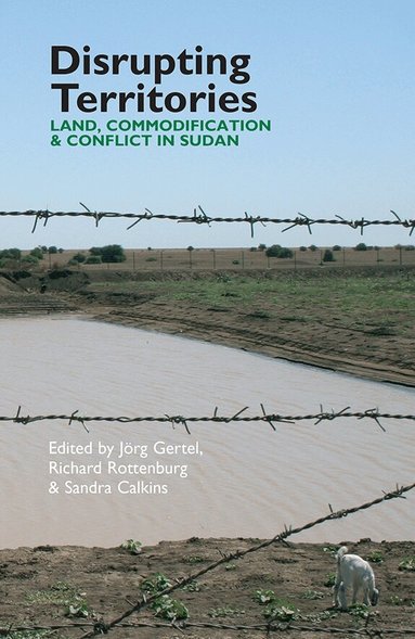 Richard Rottenburg, Sandra Calkins, Jörg Gertel, Richard Rottenburg, Sandra Calkins - Disrupting Territories, Inbunden