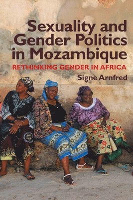 bokomslag Sexuality and Gender Politics in Mozambique