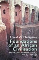 Foundations of an African Civilisation 1