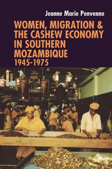 bokomslag Women, Migration & the Cashew Economy in Southern Mozambique