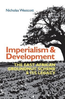 Nicholas Westcott - Imperialism and Development, Inbunden