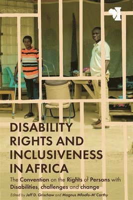 bokomslag Disability Rights and Inclusiveness in Africa