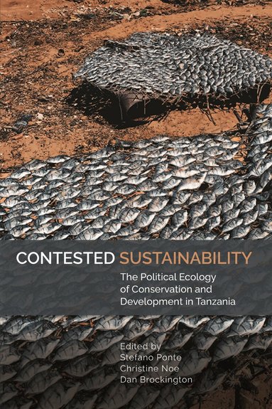 Stefano Ponte, Christine Noe, Dan Brockington - Contested Sustainability, Häftad