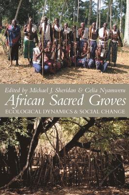bokomslag African Sacred Groves