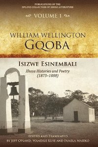 bokomslag Isizwe esinembali