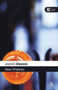 bokomslag Joyce's Ulysses