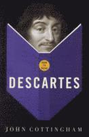 bokomslag How To Read Descartes