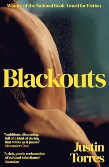 bokomslag Blackouts