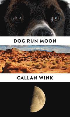 bokomslag Dog Run Moon