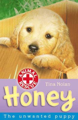 Honey 1