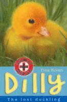 Dilly 1