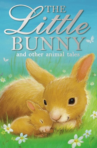 Michael Broad, Caroline Juskus, Elizabeth Baguley, Penny Dolan, Caroline Pitcher, Karen Wallace, Malachy Doyle, Narinder Dhami, Lucy Courtenay, Holly Webb - The Little Bunny and other animal tales, Häftad