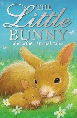 bokomslag The Little Bunny and other animal tales