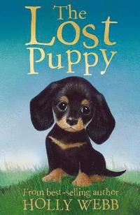 bokomslag The Lost Puppy