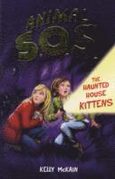 The Haunted House Kittens