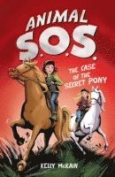 bokomslag The Case of the Secret Pony