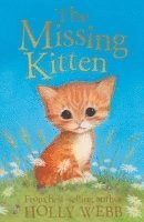 The Missing Kitten 1