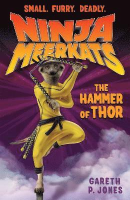 bokomslag The Hammer of Thor