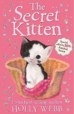 bokomslag Secret Kitten