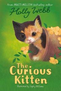 bokomslag The Curious Kitten
