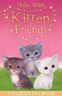 bokomslag Holly Webb's Kitten Friends
