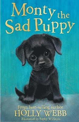 Monty the Sad Puppy 1