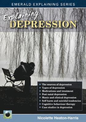 bokomslag Explaining Depression