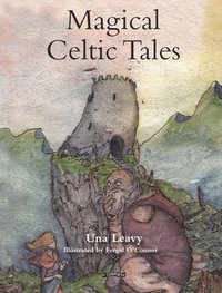bokomslag Magical Celtic Tales