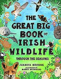 bokomslag The Great Big Book of Irish Wildlife