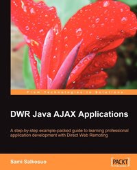 bokomslag DWR Java AJAX Applications