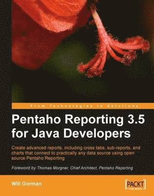 bokomslag Pentaho Reporting 3.5 for Java Developers