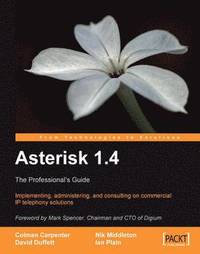 bokomslag Asterisk 1.4 - the Professional's Guide