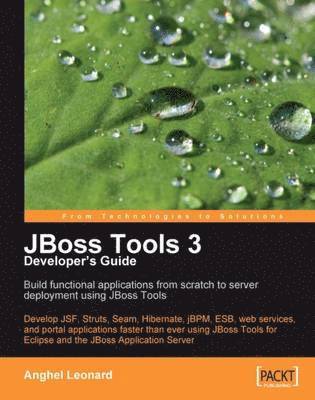 JBoss Tools 3 Developers Guide 1