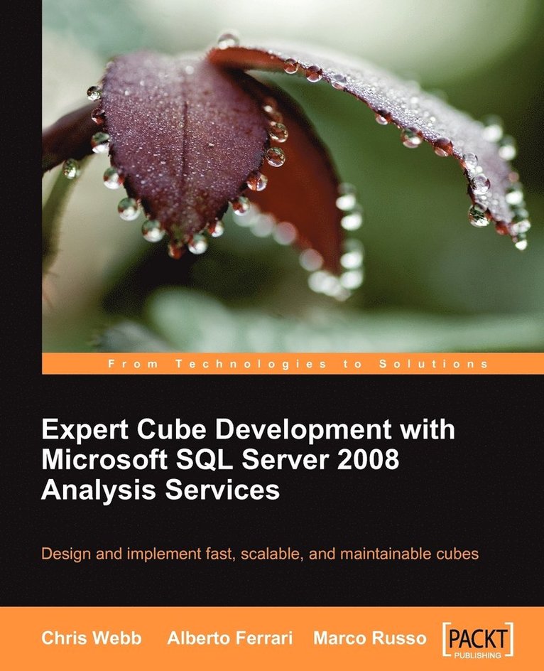 Expert Cube Development with Microsoft SQL Server 2008 Analysis Services 1