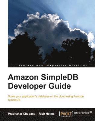 bokomslag Amazon SimpleDB Developer Guide