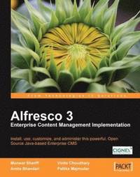 bokomslag Alfresco 3 Enterprise Content Management Implementation