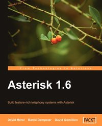 bokomslag Asterisk 1.6