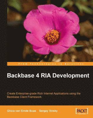 Ghica Van Emde Boas, Sergey Ilinsky - Backbase 4 RIA Development, Häftad
